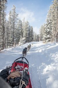 Dog Sledding-1 Peterson Pics Photography Leah Peterson